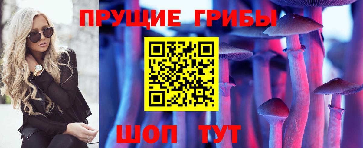 Псилоцибиновые грибы Psilocybe  Псилоцибиновые грибы прущие грибы  Пенза  Вход с VPN 