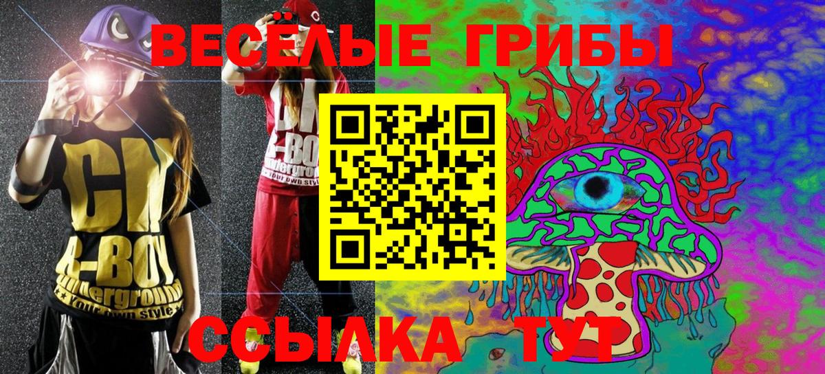 Галлюциногенные грибы Magic Shrooms Пенза