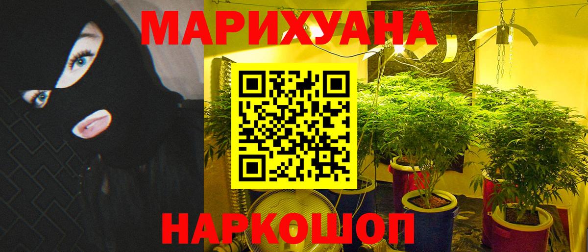 Марихуана сатива  Марихуана планчик  Вход с VPN  Пенза 